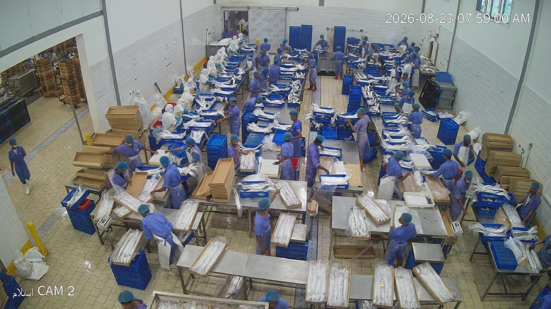 Yemen seafood processing facility